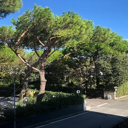 Panorama Verde * Cinquale